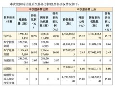 牵手深国资148亿，苏宁易购变与不变